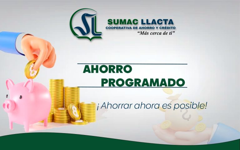 WhatsApp Image 2024-08-09 at 10.33.27 AM