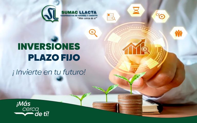 WhatsApp Image 2024-08-09 at 10.47.45 AM